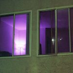 voyuer in purple