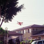 kite