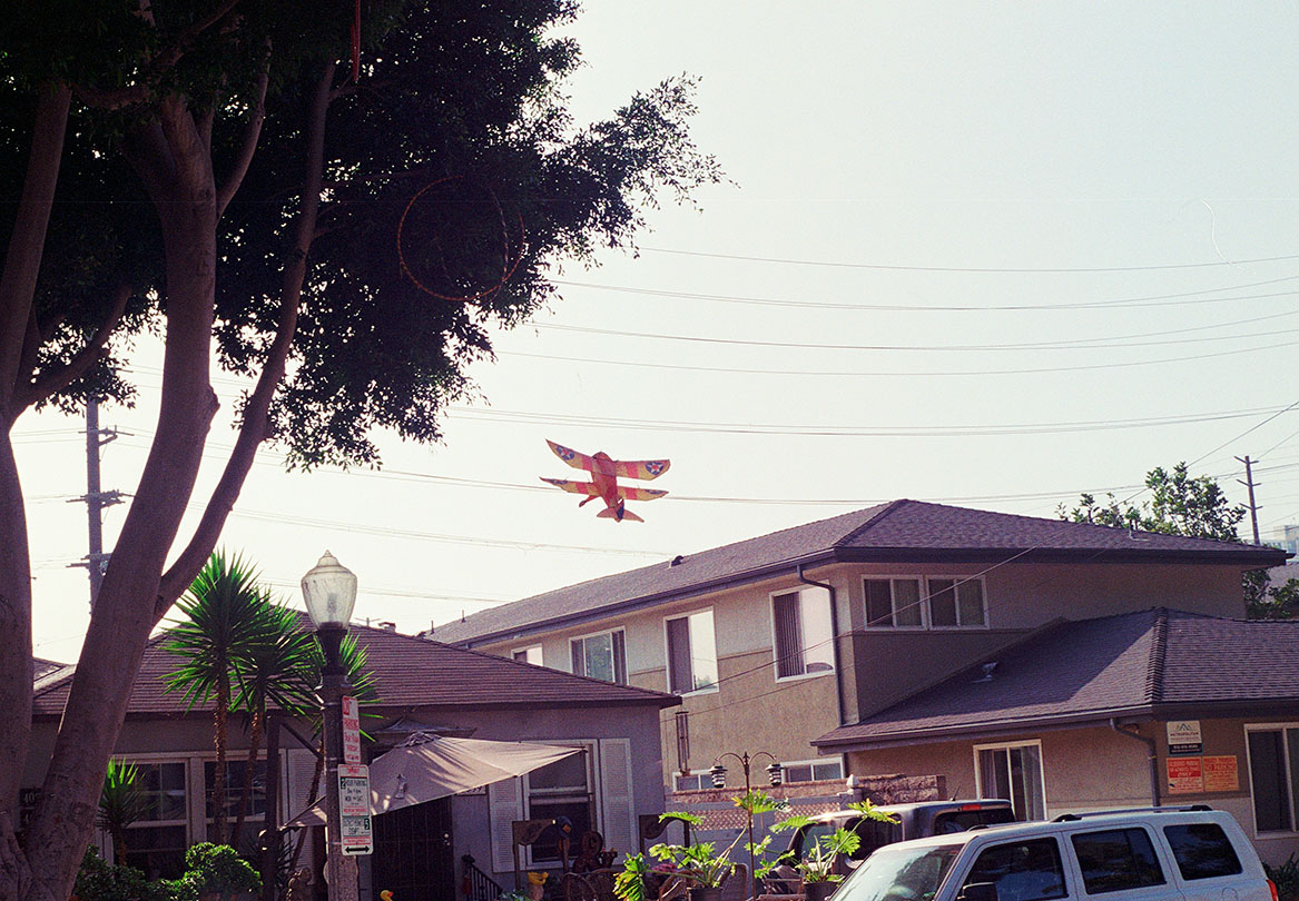 kite